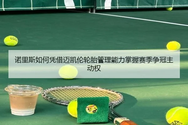 诺里斯如何凭借迈凯伦轮胎管理能力掌握赛季争冠主动权